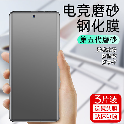 适用iqoo10pro/9pro/磨砂钢化膜