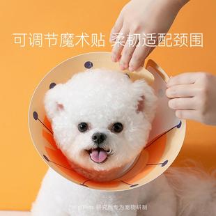 直销狗狗猫咪满印多彩伊丽莎白圈猫狗通用防舔抓咬脖项圈宠物 新款