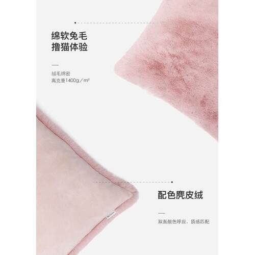 新款直销仿兔毛抱枕ins飘窗靠枕沙发靠垫柔软家居半躺晨曦清新暖