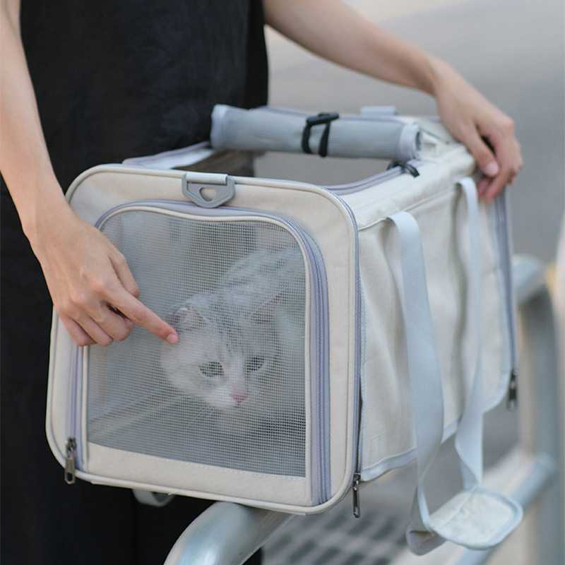 新款直销猫包外出便携透气手提宠物外出包小型狗狗猫咪外带出行车
