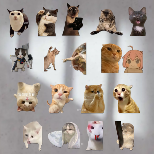 MEME搞笑猫咪车窗玻璃防水贴