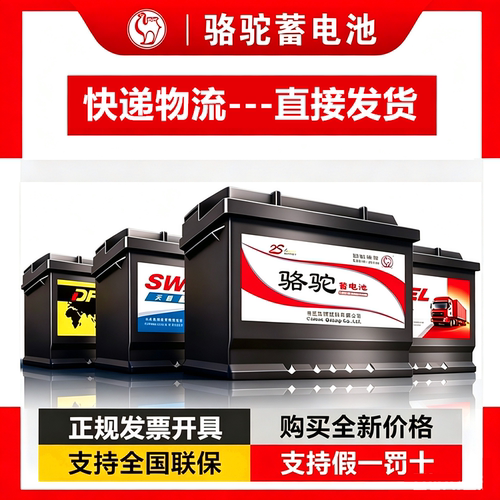 骆驼12V60AH电瓶适配柴油小铲车