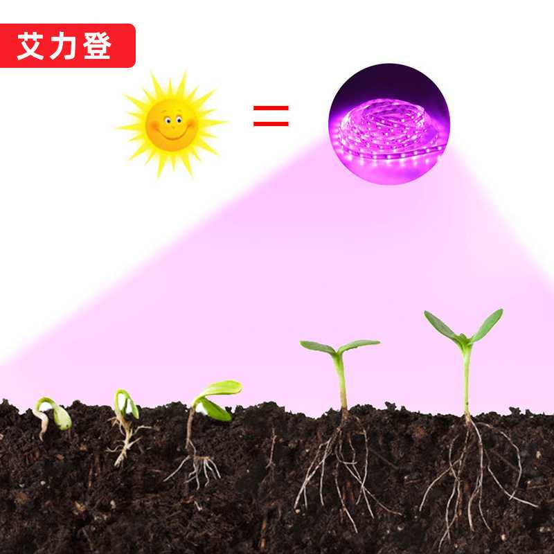 新款直销led 2835灯带 usb接口全光谱植物生长灯5v滴胶60灯防水耐