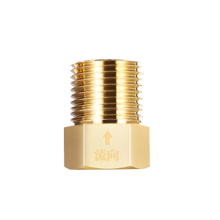 单向止回阀马桶止防反水卫生间水管止水阀热水器4分防回水止逆阀4