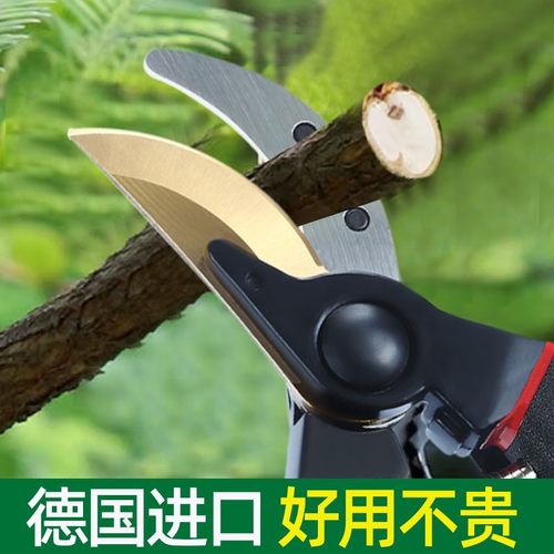 修剪树枝专用剪刀园艺剪刀修枝剪刀果树修枝剪园林修剪花艺修花剪