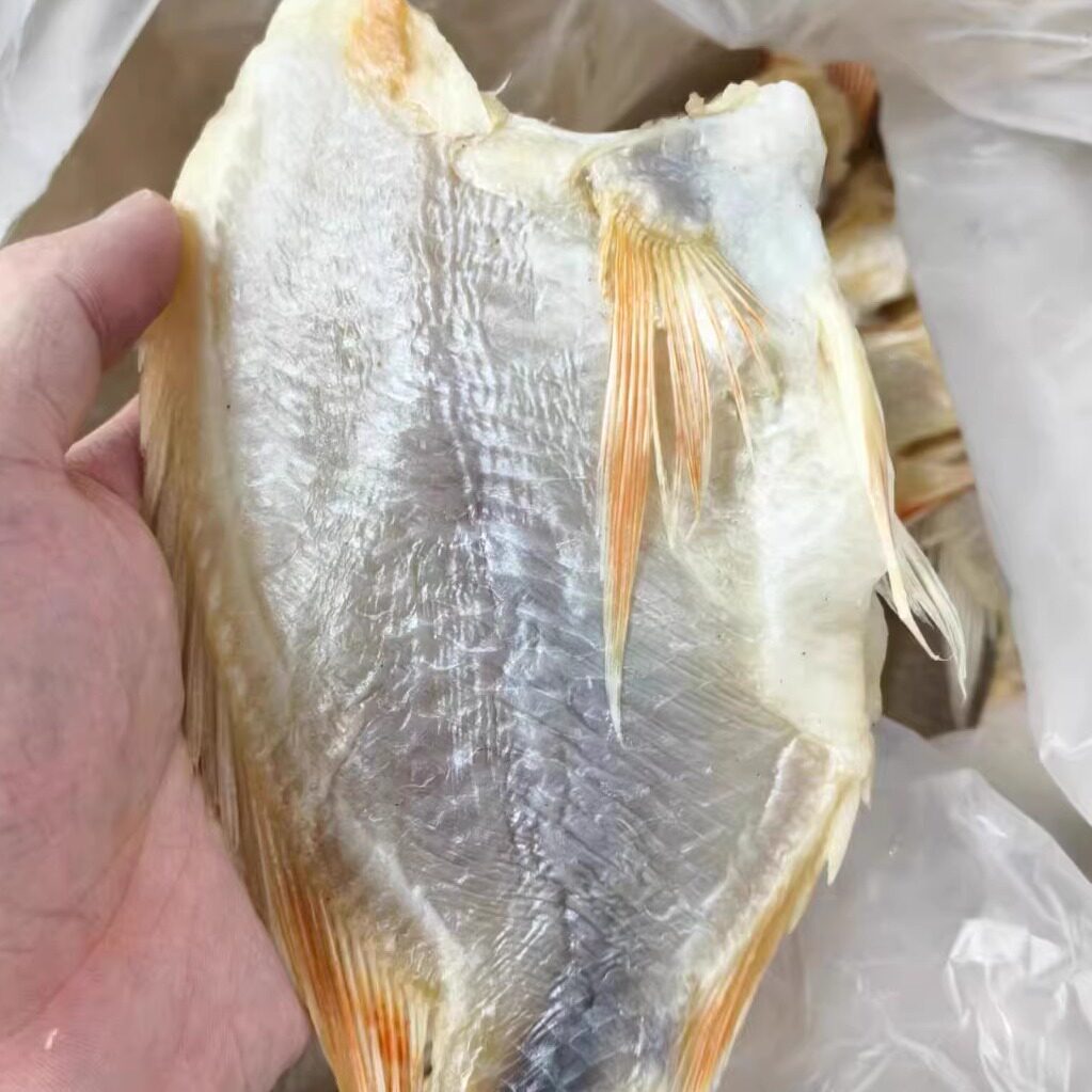 汕尾本地红立鱼(去头去内脏)包邮