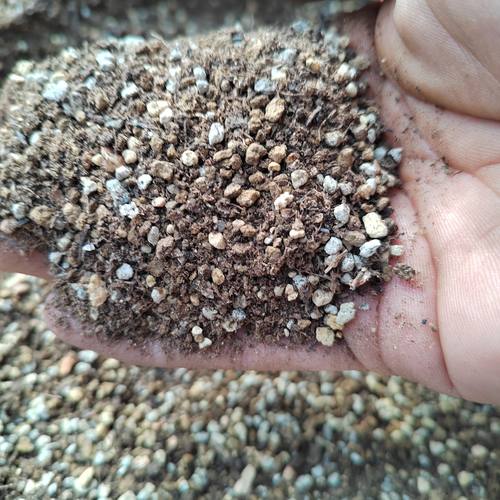 肉锥种植土多肉种植土适合南方培土比例