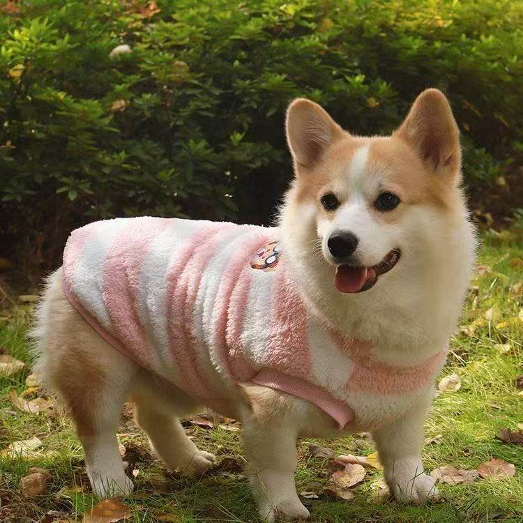 宠物狗狗衣服法兰绒保暖背心秋冬款柯基柴犬加绒狗装可爱毛绒马甲,宠物/宠物食品及用品,狗宠物服装/雨衣,淘宝优惠券,粉丝福利购,淘宝优惠卷
