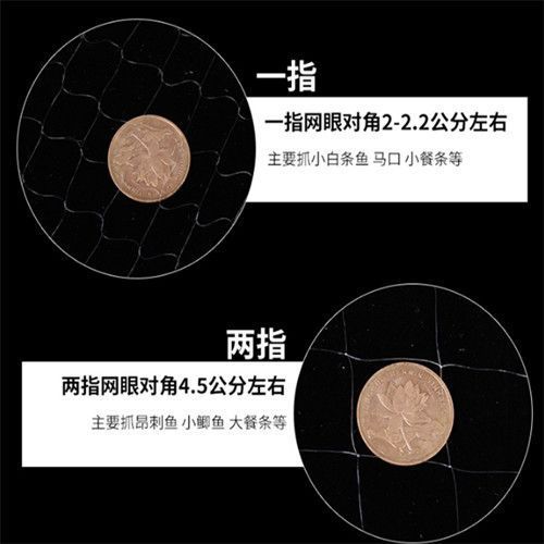 丝网浮网挂网单层三层渔网粘网鱼网捕鱼网鲫鱼鲢鱼白条翘嘴网沉网
