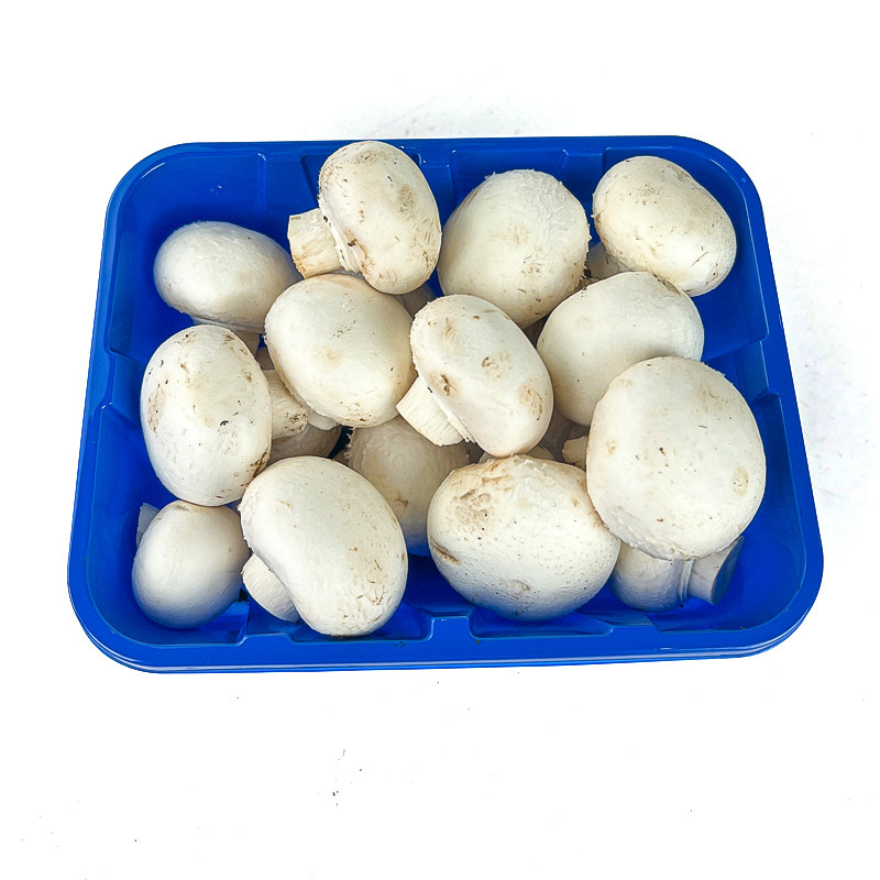 新鲜蘑菇2盒 230g/盒 口蘑 食用菌菇 白蘑菇 口菇 煲汤炒菜蔬菜