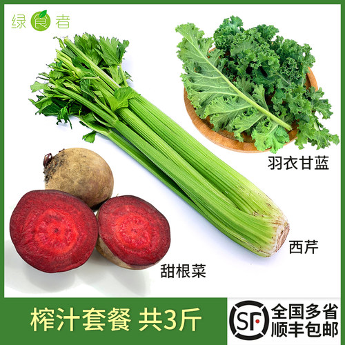 新鲜榨汁蔬菜组合健身减脂食材