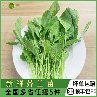 芥兰苗 新鲜蔬菜绿叶菜嫩叶炒菜火锅食材 满5件顺丰包邮