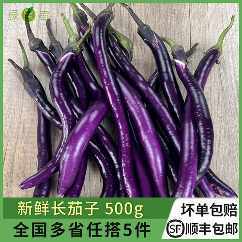新鲜长茄子500g杭茄农家蔬菜