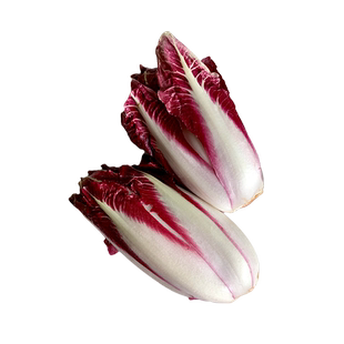 新鲜紫玉兰菜500g 红玉兰芽球菊苣蔬菜chicory比利时沙拉西餐食材