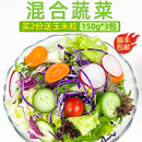 西餐色拉生菜健身轻食沙拉食材配菜 新鲜蔬菜沙拉食材150g 3包