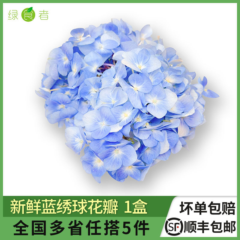 绿食者蓝绣球花瓣摆盘装饰