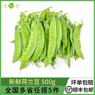 新鲜荷兰豆500g时令蔬菜