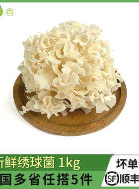绣球菌新鲜1kg/盒 绣球菌菇鲜绣球菇火锅凉拌食材新鲜菌菇