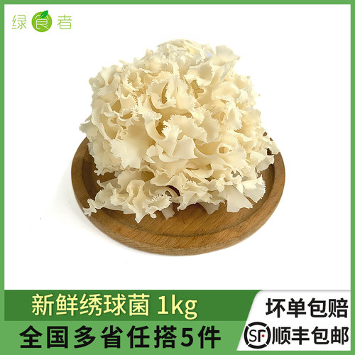 新鲜绣球菌火锅凉拌食材