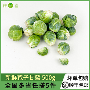 迷你小包菜小卷心菜 新鲜沙拉食材抱子甘蓝 孢子甘蓝500g 绿食者