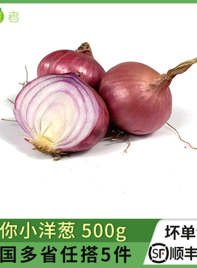迷你小洋葱500g 紫皮小洋葱头珍珠洋葱 时鲜蔬菜西餐配菜香料