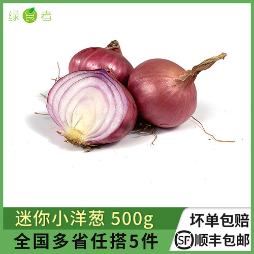 迷你小洋葱500g西餐蔬菜香料