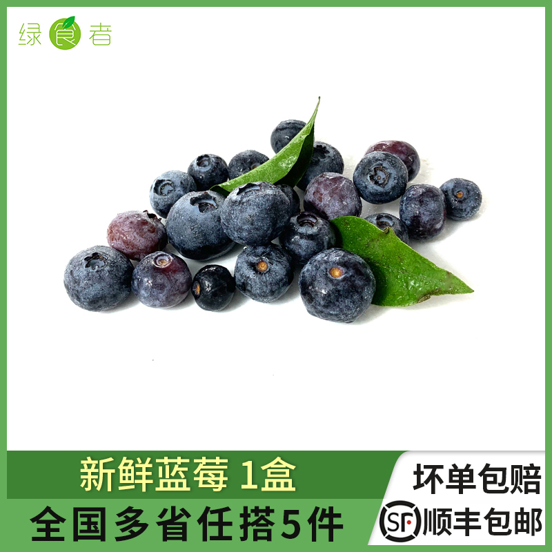 新鲜蓝莓鲜果1盒 现摘美味浆果水果辅食材料 多省任搭5件顺丰包邮