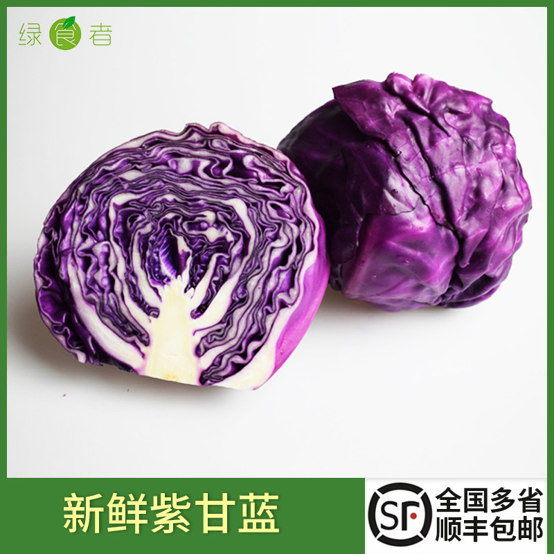 新鲜紫甘蓝 紫包菜 紫椰菜 生吃健康轻食沙拉蔬菜西餐食材