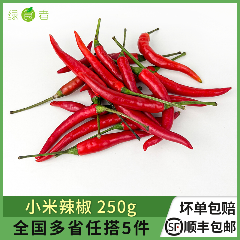 新鲜小米辣椒农家蔬菜