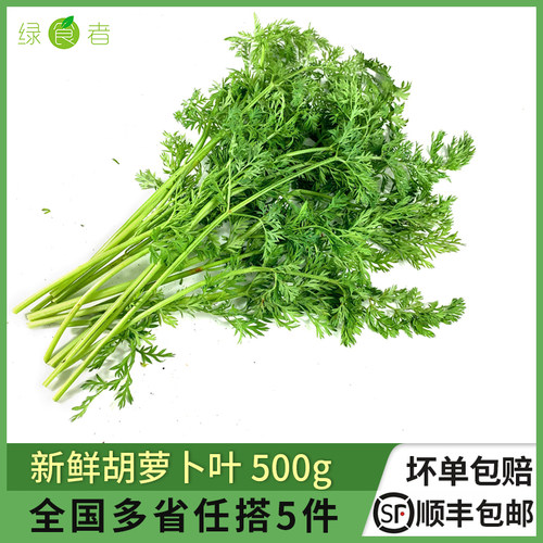 新鲜胡萝卜叶子500g萝卜缨子