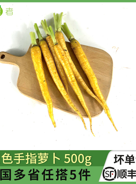黄色手指胡萝卜500g 西餐蔬菜 去叶小胡萝卜沙拉菜 任搭5件包邮