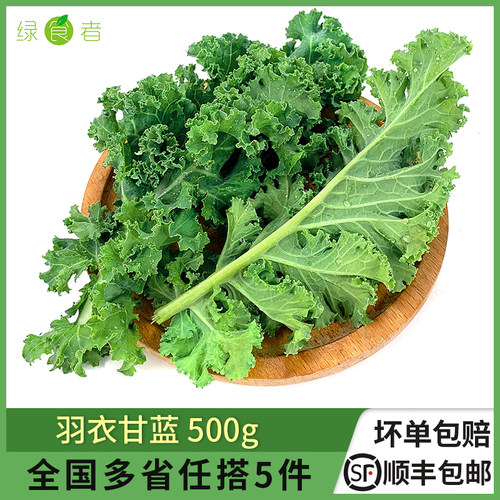 新鲜羽衣甘蓝沙拉榨汁新鲜蔬菜