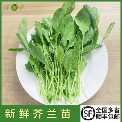 芥兰苗 新鲜蔬菜绿叶菜嫩叶炒菜火锅食材 1件顺丰包邮