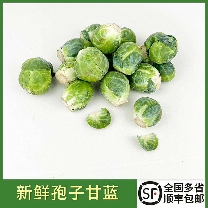新鲜孢子甘蓝 抱子甘兰迷你小包菜小卷心菜 西餐沙拉食材蔬菜