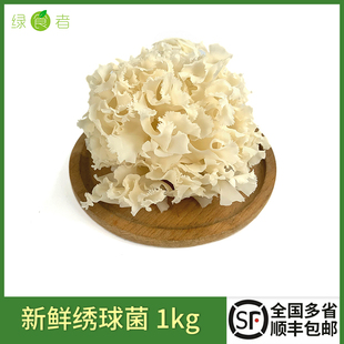 顺丰 绣球菌新鲜1kg 绣球菌菇鲜绣球菇火锅食材新鲜菌菇 盒 包邮