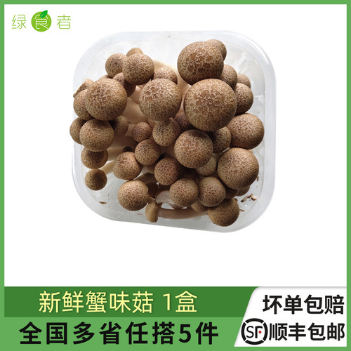 新鲜蟹味菇食用菌火锅煲汤蔬菜