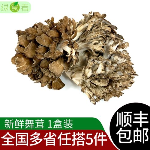 舞茸菇新鲜多少钱 舞茸菇新鲜价格 小麦优选