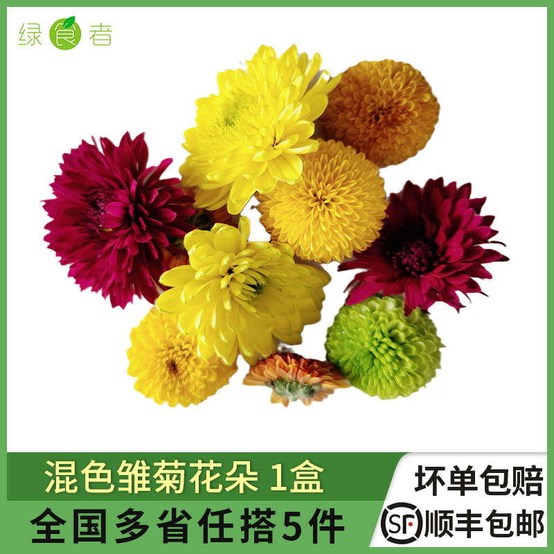 新鲜混色菊花花朵1盒摆盘花草