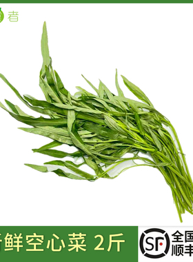 新鲜空心菜竹叶空心菜农家藤藤菜蕹菜蓊菜通心菜无心菜空筒菜包邮