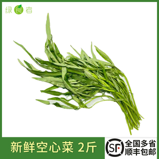 新鲜空心菜竹叶空心菜农家藤藤菜蕹菜蓊菜通心菜无心菜空筒菜包邮