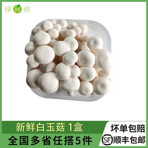 新鲜白玉菇食用菌火锅煲汤食材