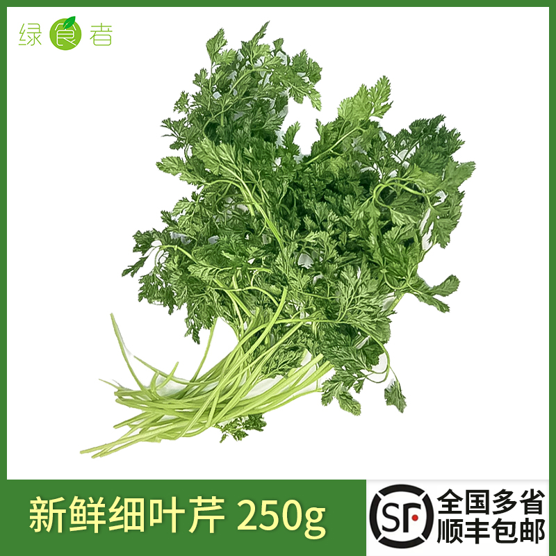 新鲜细叶芹250g 西餐香料 西餐摆盘装饰菜餐饮酒店摆盘鲜花草