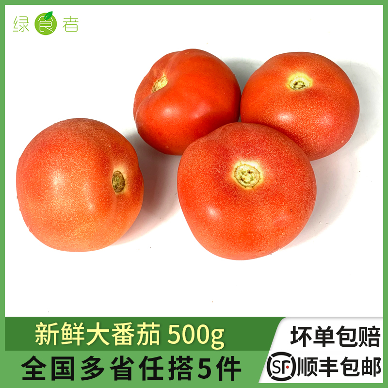 新鲜大番茄500g 生吃沙瓤西红柿农家蔬菜自然熟水果现摘柿子