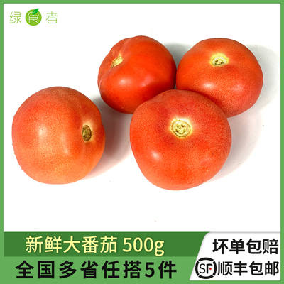 新鲜大番茄500g西红柿