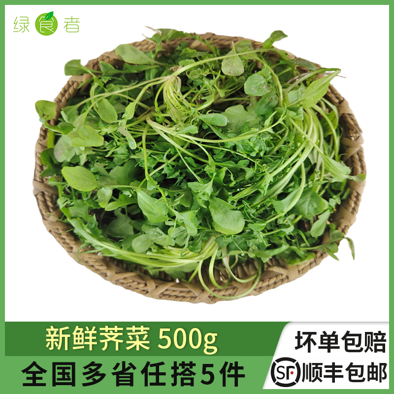 新鲜荠菜农家现挖馄饨饺子馅食材