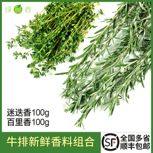 西餐牛排烘焙烧烤用调料香料配料组合 新鲜迷迭香100g 百里香100g