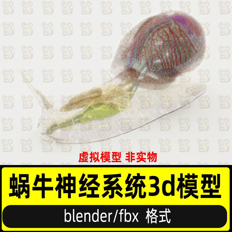 blender蜗牛可视化3d模型带有内部器官神经网络神经系统2K贴图fbx,商务/设计服务,设计素材/源文件,淘宝优惠券,粉丝福利购,淘宝优惠卷