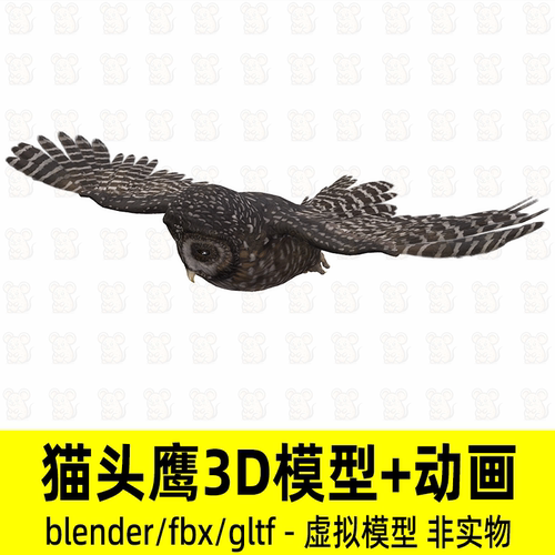 blender猫头鹰写实鸟类动物模型影视游戏猫头鹰骨骼动画2K贴图fbx