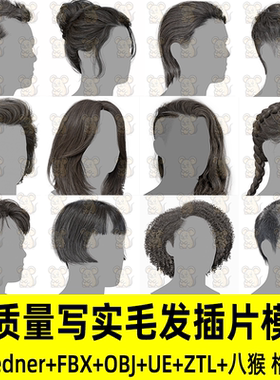3DScanStore高质量写实毛发UE男女插片发卡3D模型Blender FBX ZTL