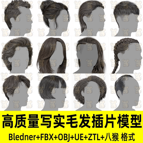 3DScanStore高质量写实毛发UE男女插片发卡3D模型Blender FBX ZTL
